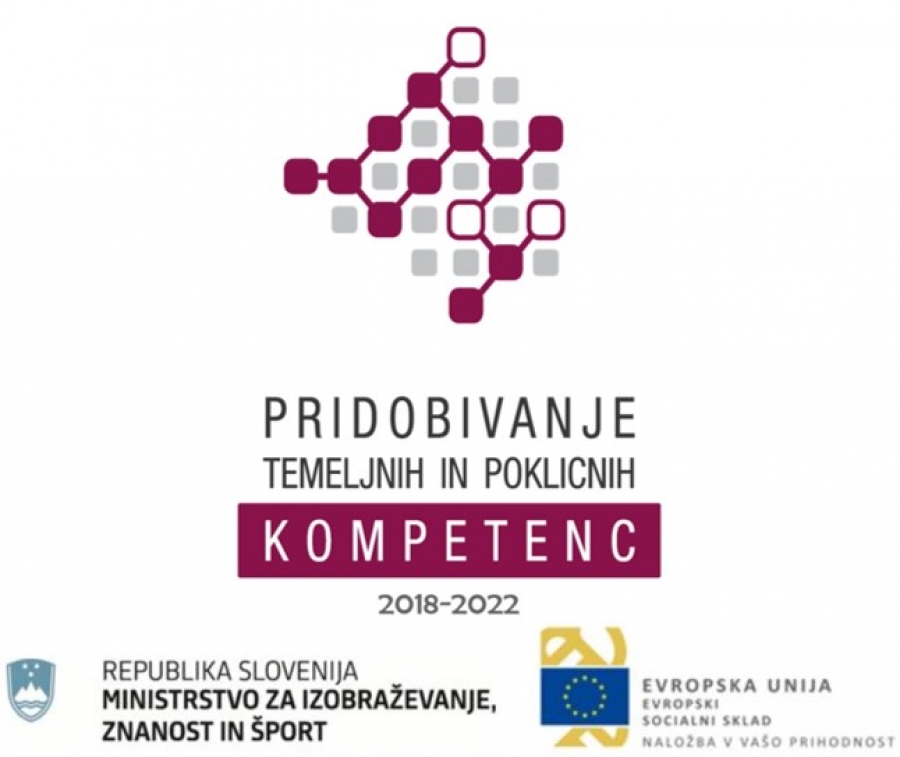  PRIDOBIVANJE TEMELJNIH IN POKLICNIH KOMPETENC (TPK 2018-2022) 