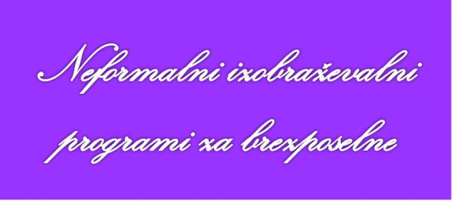  NEFORMALNI IZOBRAŽEVALNI PROGRAMI ZA BREZPOSELNE 