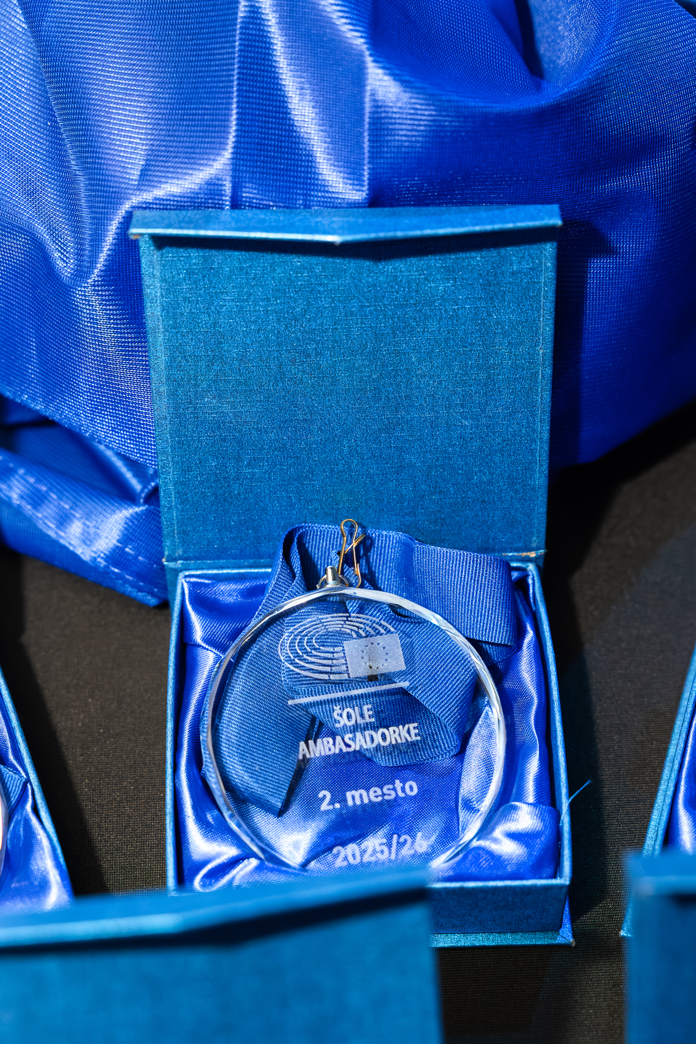 MEDALJA ZA 2. MESTO V PROJEKTU ŠOLA AMBASADORKA EVROPSKEGA PARLAMENTA