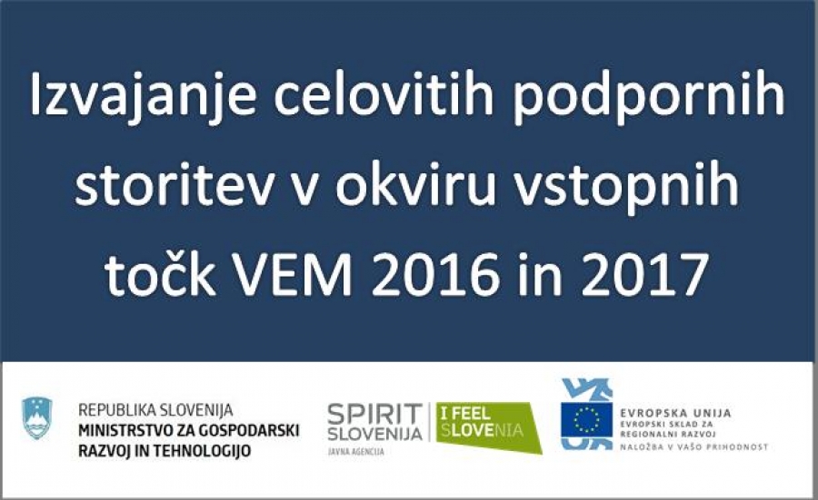 VEM 2016 – 2017